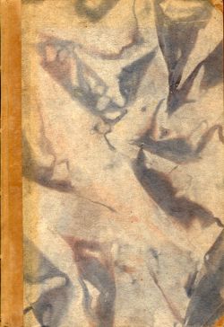 Der erwachte Schläfer. (Einband)