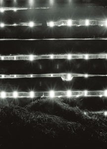 bildreich karten PK 28: winterlicht IV.