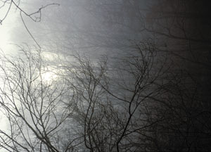 bildreich karten PK 58: wintermorgen.