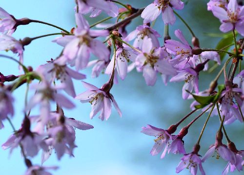 bildreich karten PK 531: hell und leicht.