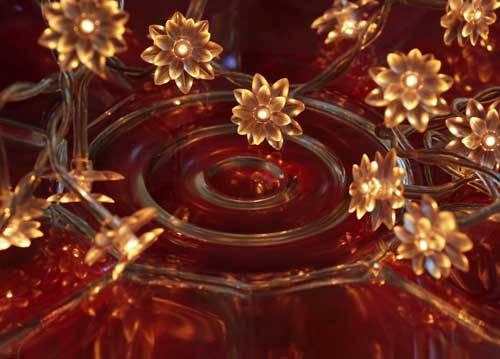 bildreich karten PK 562: lichtbluemchen II.