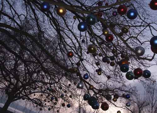 bildreich karten PK 663: weihnachtsbaum I.