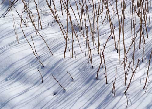 bildreich karten PK 883: schattenzeichnung.