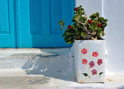 bildreich karten PK 912: blumentopf.