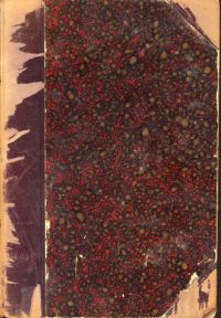 Rahn, Geschichte der bildenden Künste in der Schweiz. (Umschlag)