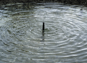 bildreich karten PK 256: brunnenrund.