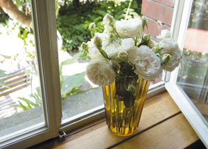 bildreich karten PK 389: fenster zum südgarten.