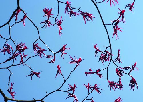 bildreich karten PK 533: sonnenlicht.