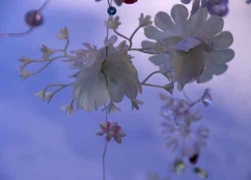 bildreich karten PK 675: fleurs d'hiver.