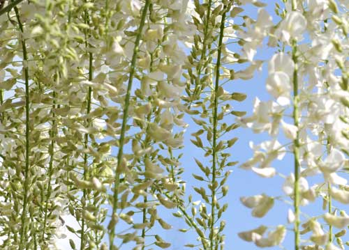 bildreich karten PK 719: unendlich leicht.