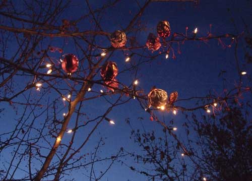 bildreich karten PK 763: es ist ein ros entsprungen....